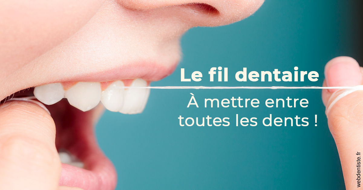 https://selarl-michelsolt.chirurgiens-dentistes.fr/Le fil dentaire 2