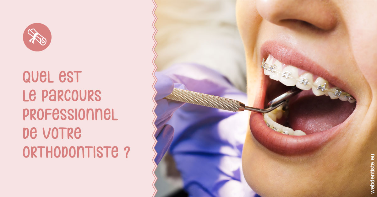 https://selarl-michelsolt.chirurgiens-dentistes.fr/Parcours professionnel ortho 1