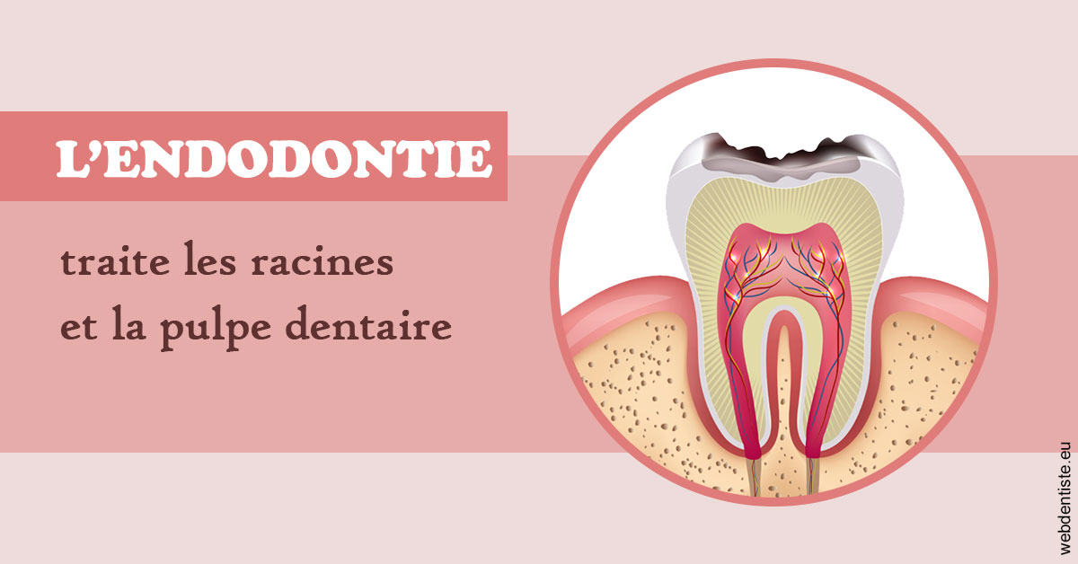 https://selarl-michelsolt.chirurgiens-dentistes.fr/L'endodontie 2