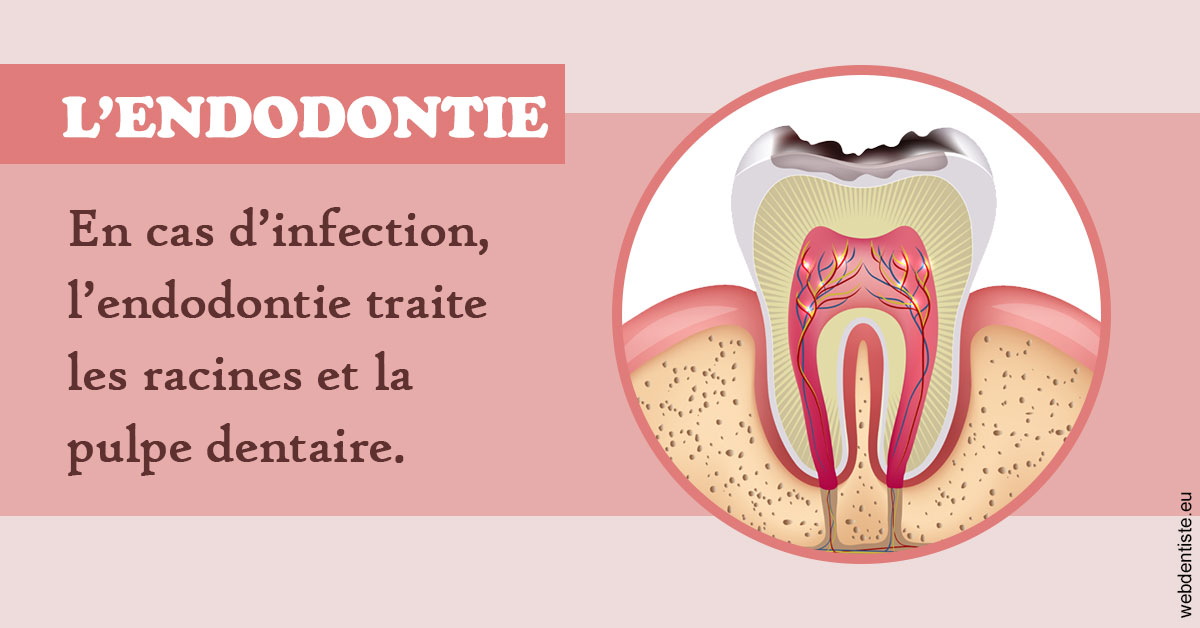 https://selarl-michelsolt.chirurgiens-dentistes.fr/L'endodontie 2